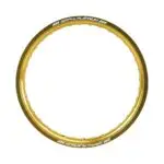 Μπροστινή ζάντα SM Pro Platinum 21 x 1.60, 32 τρύπες